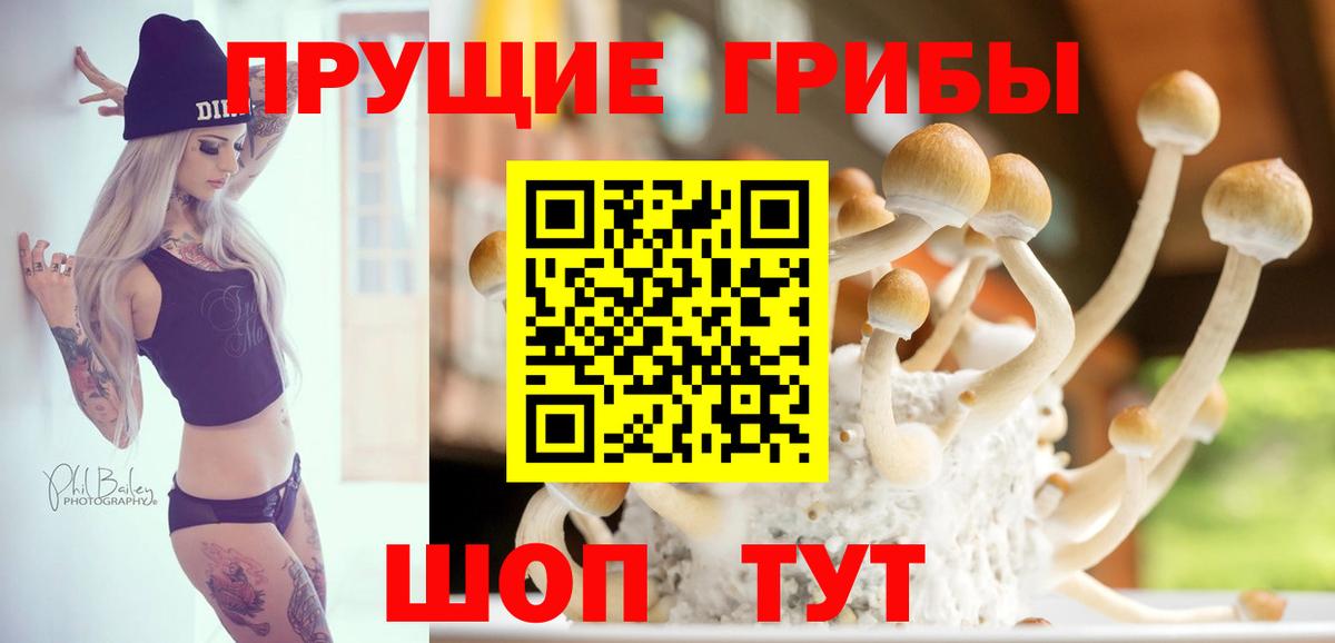 Псилоцибиновые грибы прущие грибы  Вход с VPN  купить  цена  Копейск 